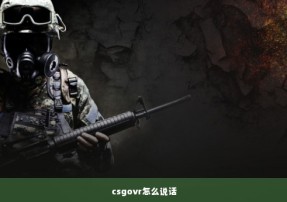 csgovr怎么说话