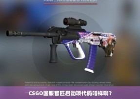 CSGO国服官匹启动项代码啥样啊？