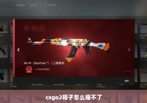 csgo2箱子怎么摇不了