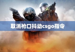 取消枪口抖动csgo指令