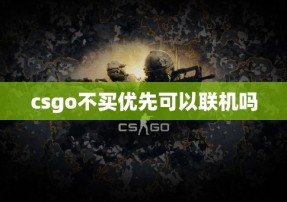 csgo不买优先可以联机吗