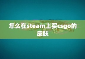 怎么在steam上买csgo的皮肤