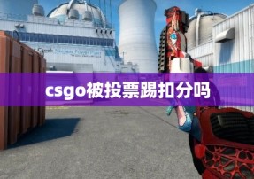 csgo被投票踢扣分吗