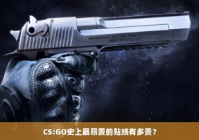 CS:GO史上最昂贵的贴纸有多贵？