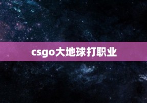 csgo大地球打职业