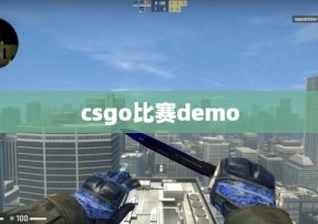 csgo比赛demo