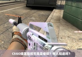 CSGO绿龙指挥究竟是谁啊？有人知道吗？