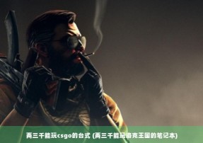 两三千能玩csgo的台式 (两三千能玩洛克王国的笔记本)