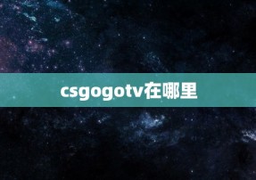 csgogotv在哪里