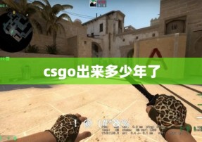 csgo出来多少年了