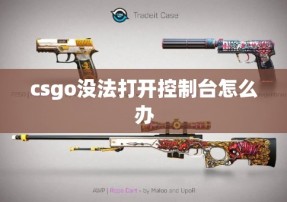 csgo没法打开控制台怎么办