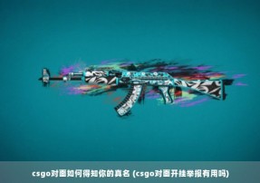 csgo对面如何得知你的真名 (csgo对面开挂举报有用吗)