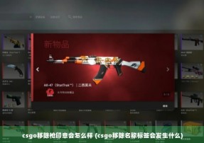 csgo移除枪印章会怎么样 (csgo移除名称标签会发生什么)