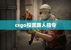 csgo投票踢人指令