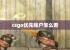 csgo优先账户怎么看