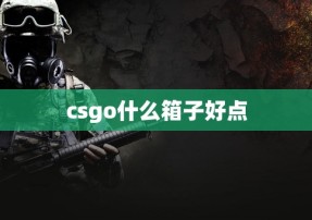 csgo什么箱子好点