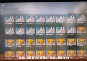 csgo2急停教学在哪里练 (csgo2急停指令)