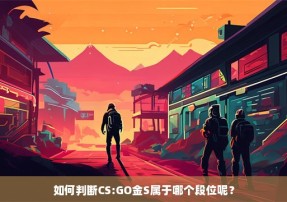 如何判断CS:GO金S属于哪个段位呢？