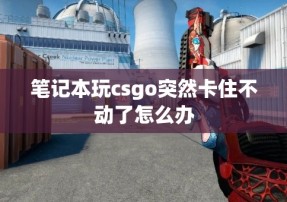 笔记本玩csgo突然卡住不动了怎么办