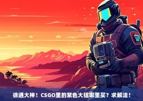 徐通大神！CSGO里的紫色大狙哪里买？求解法！