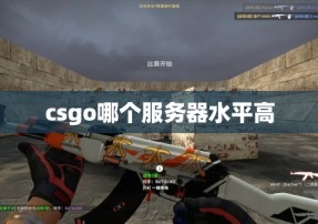 csgo哪个服务器水平高