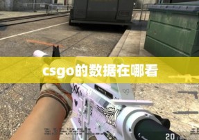 csgo的数据在哪看