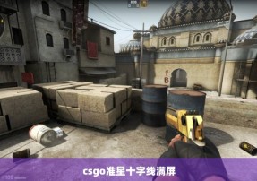 csgo准星十字线满屏