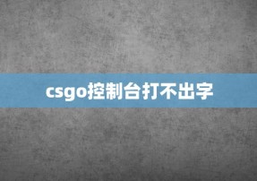 csgo控制台打不出字