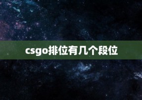 csgo排位有几个段位