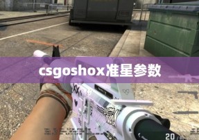 csgoshox准星参数