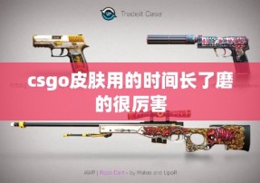 csgo皮肤用的时间长了磨的很厉害