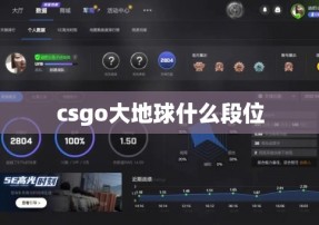 csgo大地球什么段位