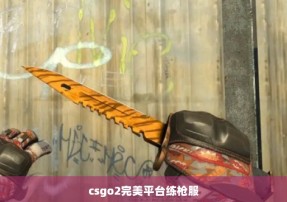 csgo2完美平台练枪服