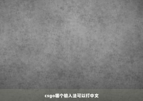 csgo哪个输入法可以打中文