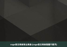 csgo富兰克林怎么挑选 (csgo富兰克林是哪个箱子)