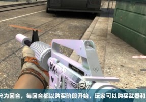 比赛分为回合，每回合都以购买阶段开始，玩家可以购买武器和装备。