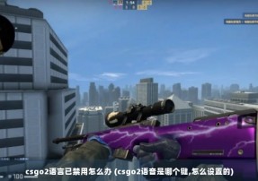 csgo2语言已禁用怎么办 (csgo2语音是哪个键,怎么设置的)