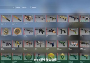 csgo野牛怎么获得