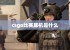 csgo比赛耳机是什么