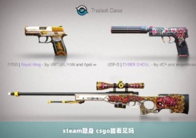 steam隐身 csgo能看见吗