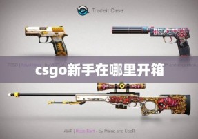 csgo新手在哪里开箱