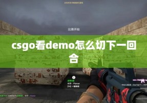 csgo看demo怎么切下一回合