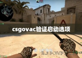 csgovac验证启动选项