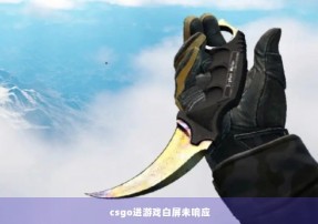 csgo进游戏白屏未响应