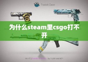 为什么steam里csgo打不开