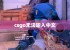 csgo无法输入中文