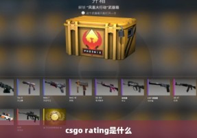 csgo rating是什么