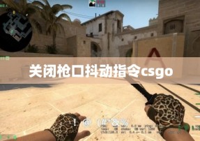 关闭枪口抖动指令csgo