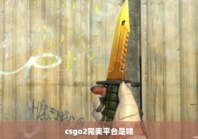 csgo2完美平台是啥