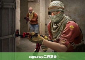 csgoawp二西莫夫